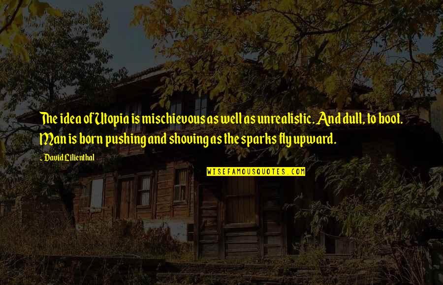 Man To Man Quotes By David Lilienthal: The idea of Utopia is mischievous as well Man To Man Quotes By David Lilienthal: The idea of Utopia is mischievous as well
