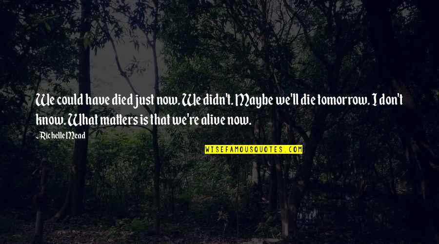 Man Utd Vs Man City Quotes By Richelle Mead: We could have died just now. We didn't.