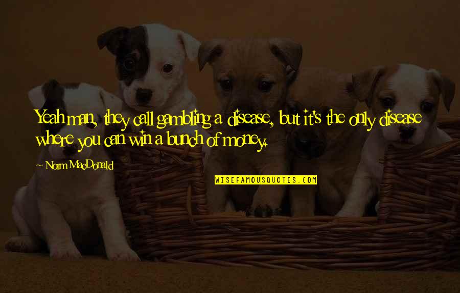 Man Win Quotes By Norm MacDonald: Yeah man, they call gambling a disease, but Man Win Quotes By Norm MacDonald: Yeah man, they call gambling a disease, but