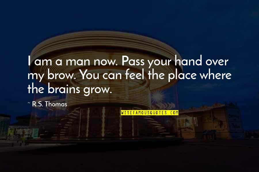 Man With 2 Brains Quotes By R.S. Thomas: I am a man now. Pass your hand Man With 2 Brains Quotes By R.S. Thomas: I am a man now. Pass your hand