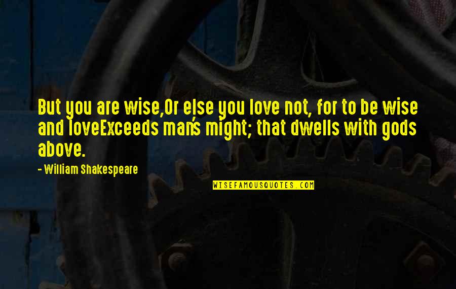 Man You Love Quotes By William Shakespeare: But you are wise,Or else you love not,