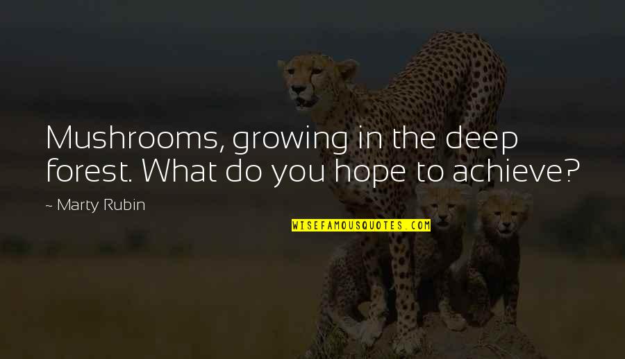 Management Team Quotes By Marty Rubin: Mushrooms, growing in the deep forest. What do