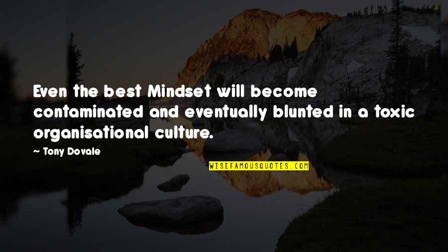 Managemnt Quotes By Tony Dovale: Even the best Mindset will become contaminated and