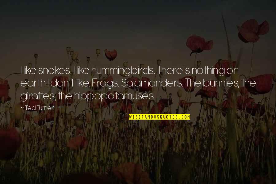Managers Day Quotes By Ted Turner: I like snakes. I like hummingbirds. There's nothing Managers Day Quotes By Ted Turner: I like snakes. I like hummingbirds. There's nothing