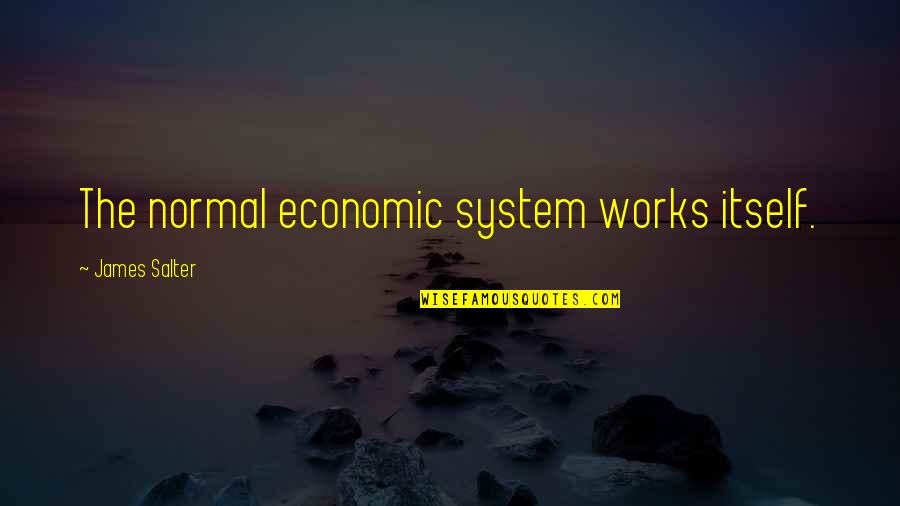 Managing Director Quotes By James Salter: The normal economic system works itself.