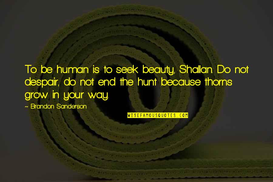 Managua Airport Quotes By Brandon Sanderson: To be human is to seek beauty, Shallan.