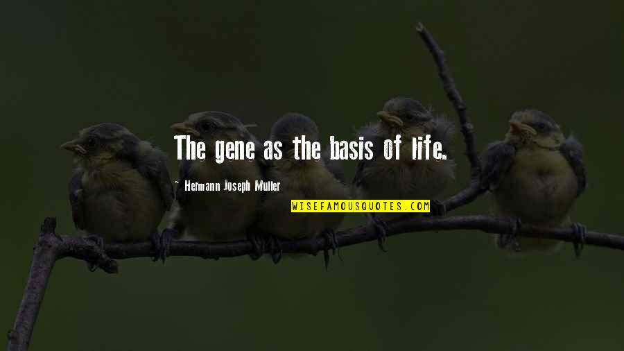 Manamela Raphela Quotes By Hermann Joseph Muller: The gene as the basis of life. Manamela Raphela Quotes By Hermann Joseph Muller: The gene as the basis of life.