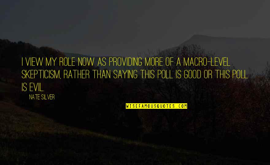 Manantang Quotes By Nate Silver: I view my role now as providing more