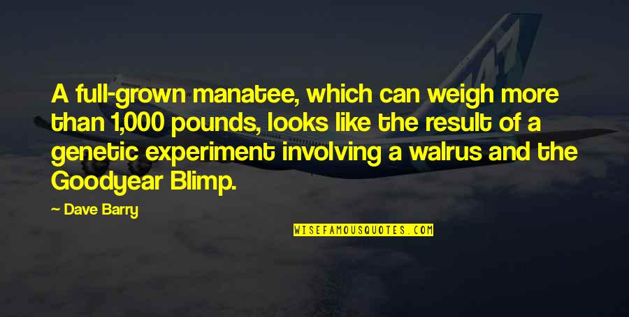 Manatee Quotes By Dave Barry: A full-grown manatee, which can weigh more than Manatee Quotes By Dave Barry: A full-grown manatee, which can weigh more than