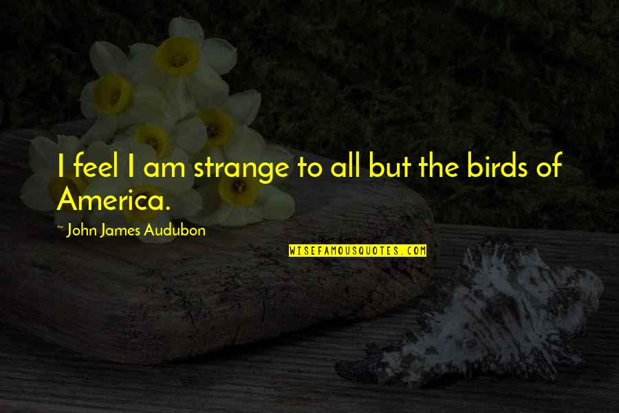 Mancaruri Quotes By John James Audubon: I feel I am strange to all but