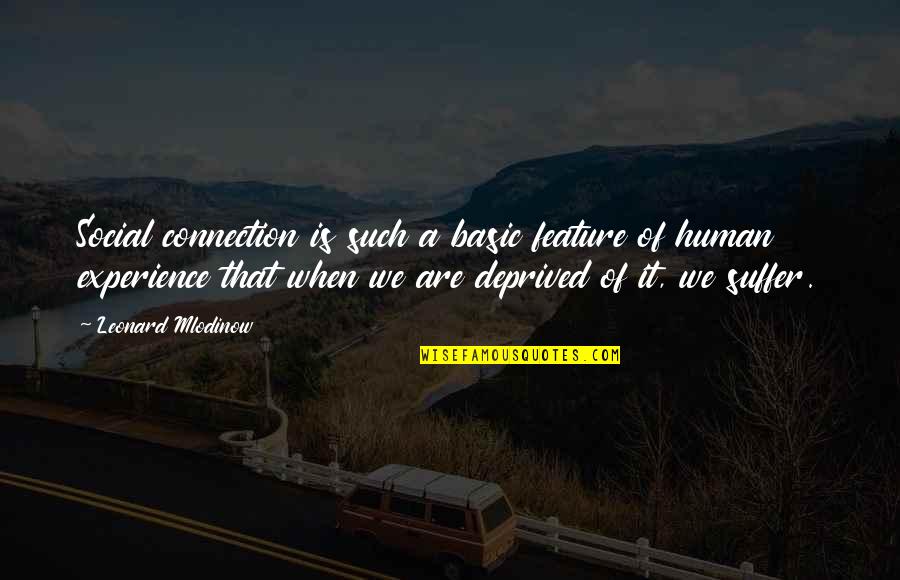 Mandatory Simpsons Quotes By Leonard Mlodinow: Social connection is such a basic feature of Mandatory Simpsons Quotes By Leonard Mlodinow: Social connection is such a basic feature of
