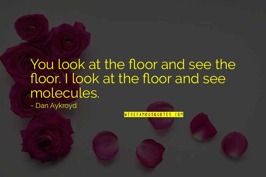 Mandebus Quotes By Dan Aykroyd: You look at the floor and see the