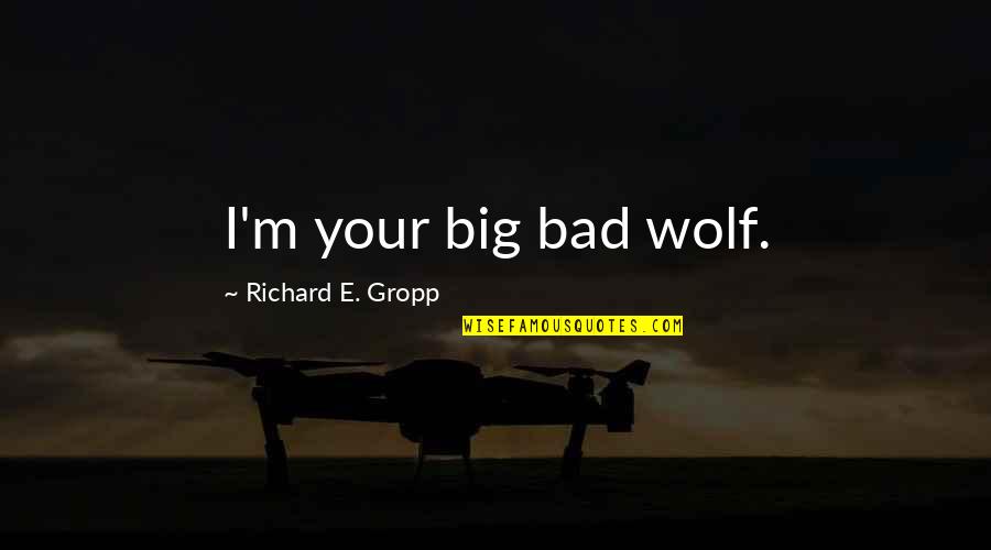 Mandese In Jail Quotes By Richard E. Gropp: I'm your big bad wolf.