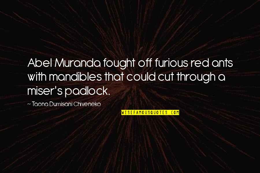 Mandibles Quotes By Taona Dumisani Chiveneko: Abel Muranda fought off furious red ants with