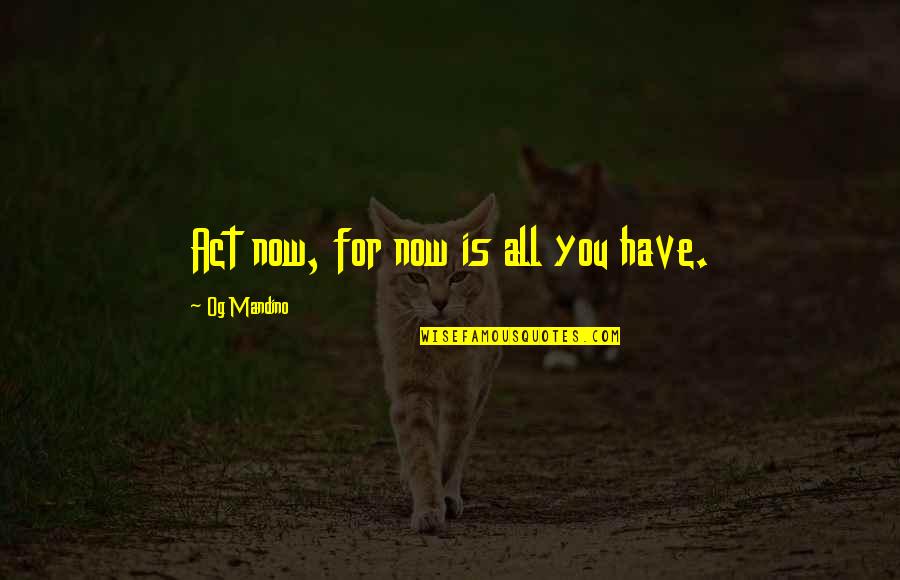 Mandino Quotes By Og Mandino: Act now, for now is all you have.