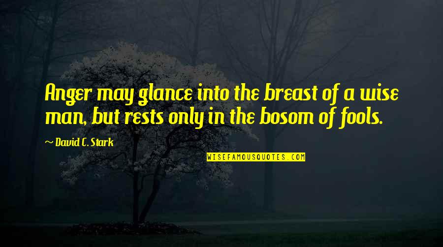 Mandoza Engrish Quotes By David C. Stark: Anger may glance into the breast of a Mandoza Engrish Quotes By David C. Stark: Anger may glance into the breast of a
