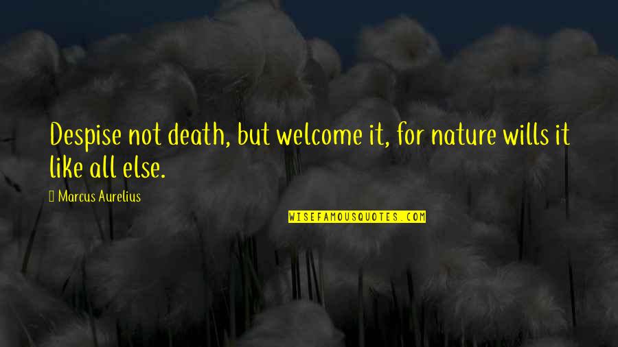Mandrills Quotes By Marcus Aurelius: Despise not death, but welcome it, for nature