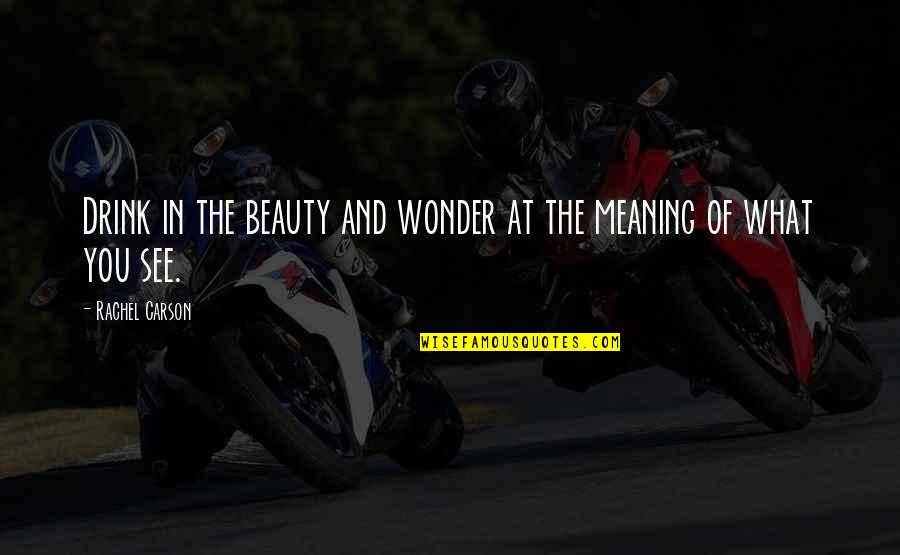Mandustrial Quotes By Rachel Carson: Drink in the beauty and wonder at the Mandustrial Quotes By Rachel Carson: Drink in the beauty and wonder at the
