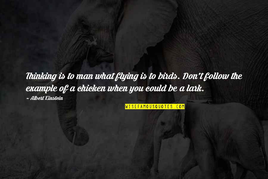 Mandviwalla Entertainment Quotes By Albert Einstein: Thinking is to man what flying is to Mandviwalla Entertainment Quotes By Albert Einstein: Thinking is to man what flying is to