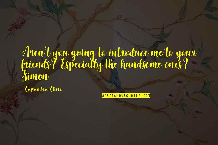 Manekshaw Parade Quotes By Cassandra Clare: Aren't you going to introduce me to your Manekshaw Parade Quotes By Cassandra Clare: Aren't you going to introduce me to your