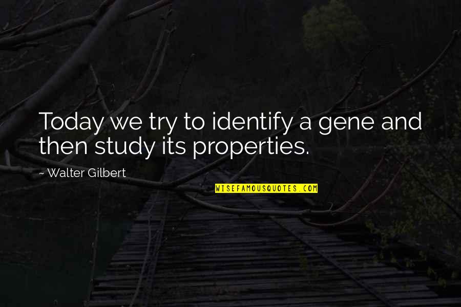 Manfs Brand Quotes By Walter Gilbert: Today we try to identify a gene and