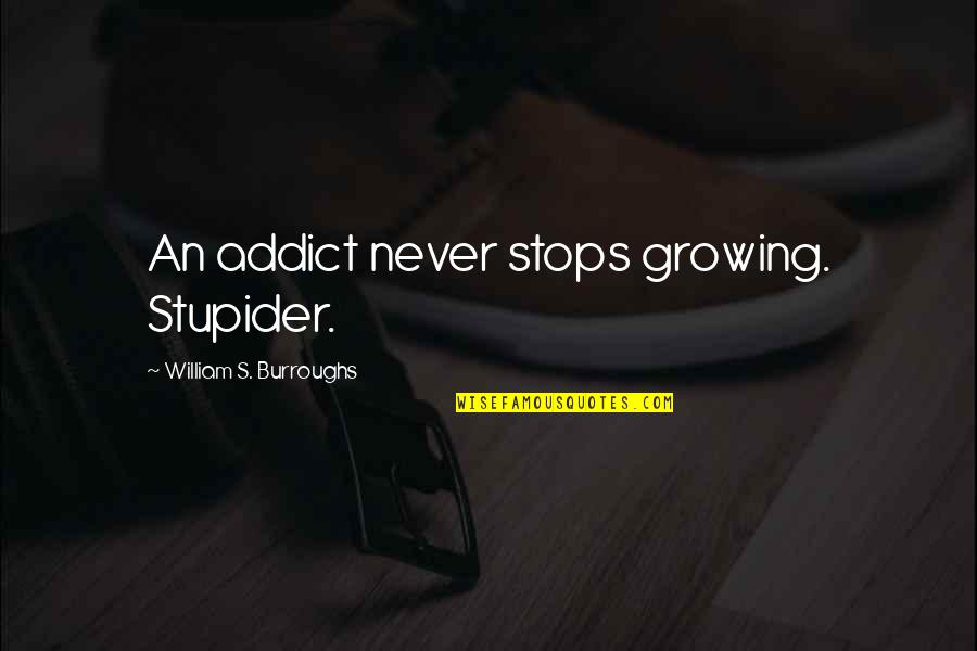 Mangold Quotes By William S. Burroughs: An addict never stops growing. Stupider.