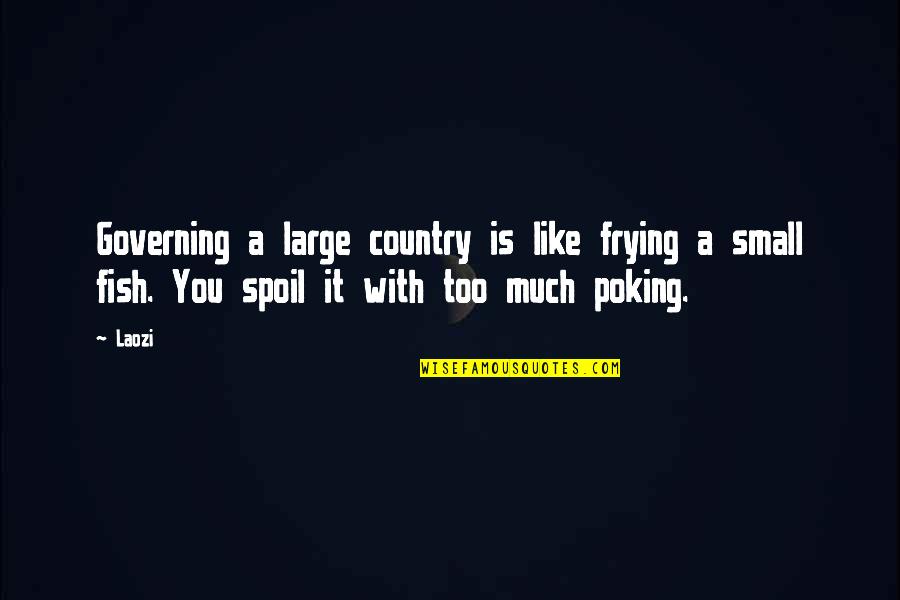 Mangosuthu Online Quotes By Laozi: Governing a large country is like frying a