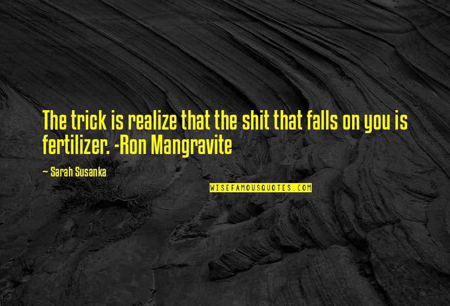 Mangravite Quotes By Sarah Susanka: The trick is realize that the shit that