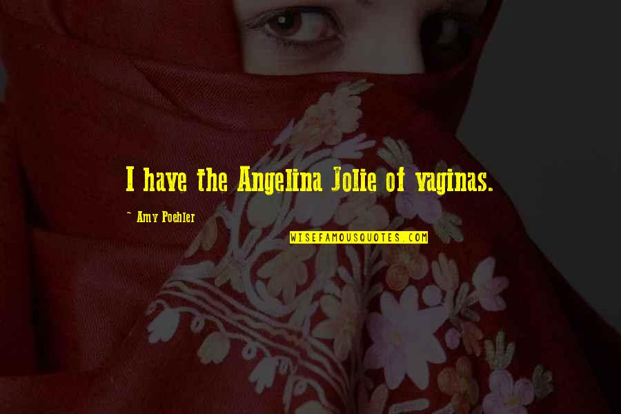 Manhattan Projects Quotes By Amy Poehler: I have the Angelina Jolie of vaginas.