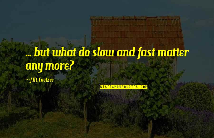 Maniac Mansion Quotes By J.M. Coetzee: ... but what do slow and fast matter