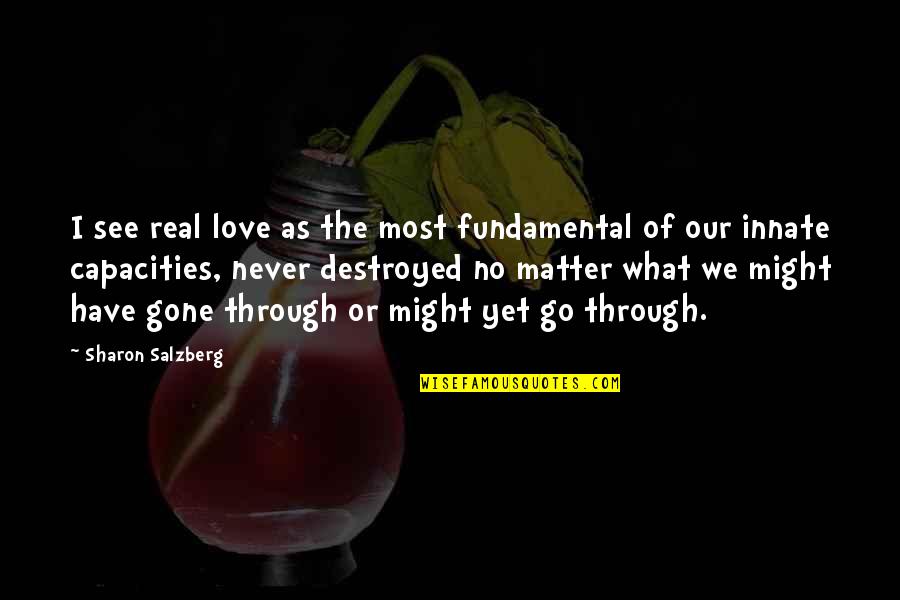 Manie Quotes By Sharon Salzberg: I see real love as the most fundamental