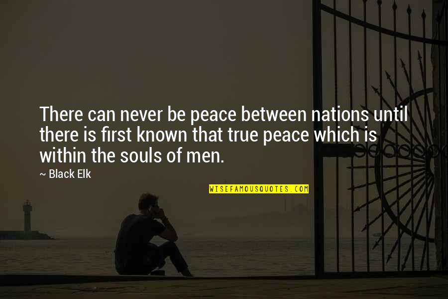 Manieres In English Quotes By Black Elk: There can never be peace between nations until