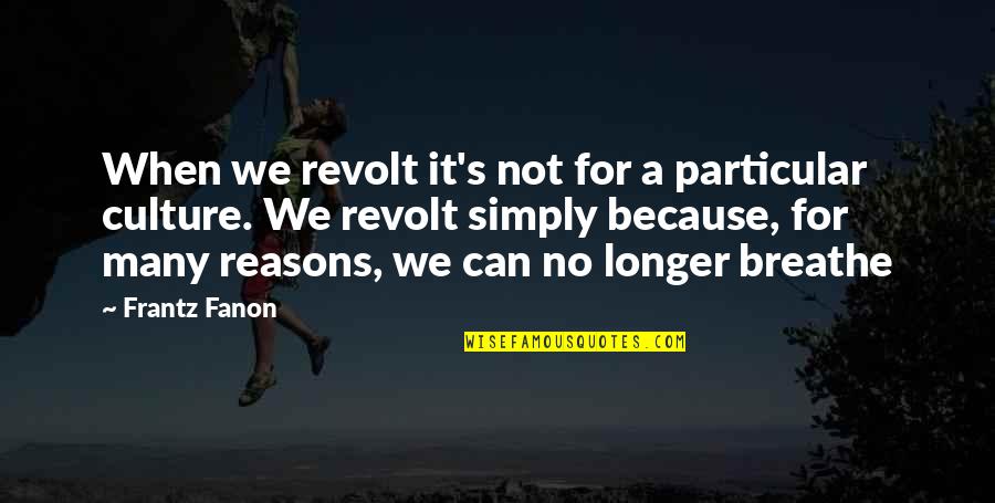 Manifestar En Quotes By Frantz Fanon: When we revolt it's not for a particular