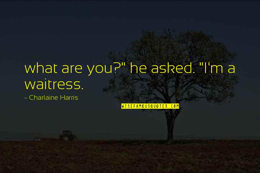 Manifestation And Visualization Quotes By Charlaine Harris: what are you?" he asked. "I'm a waitress.