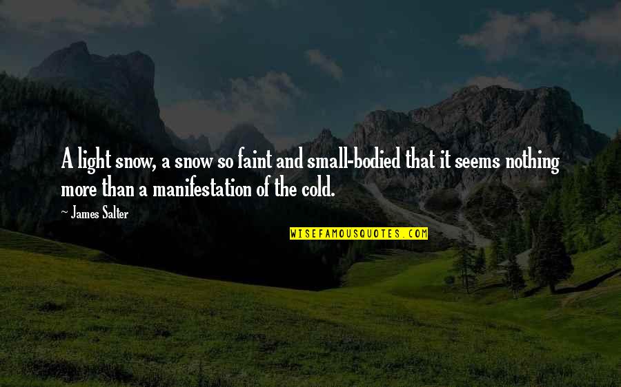 Manifestation Quotes By James Salter: A light snow, a snow so faint and