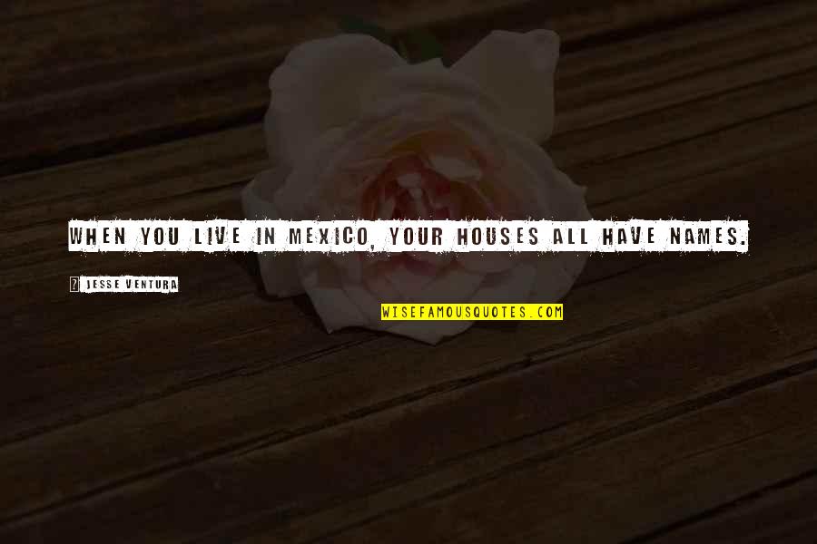 Manifestentries Quotes By Jesse Ventura: When you live in Mexico, your houses all