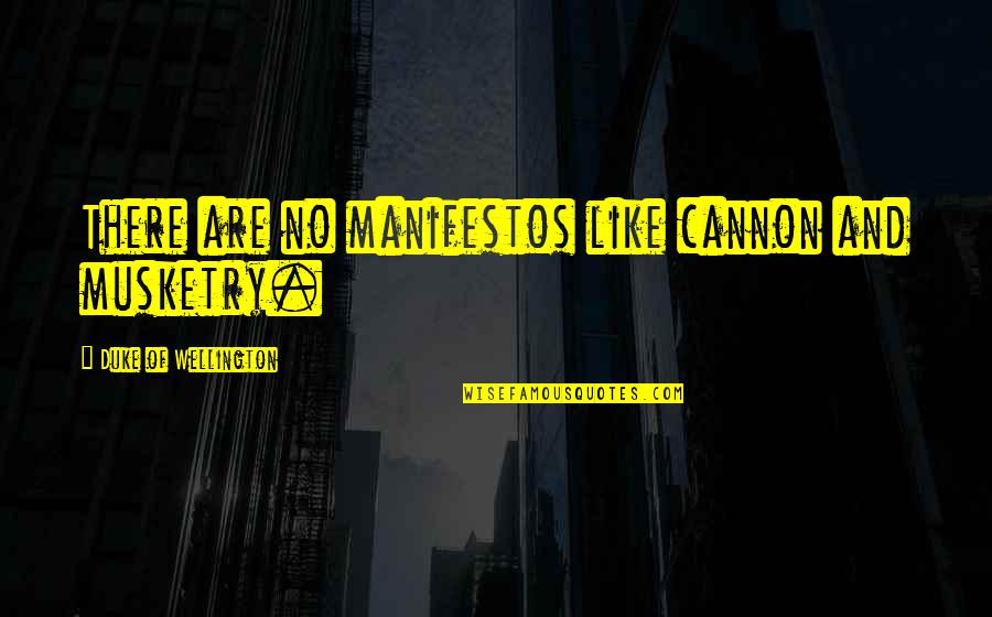 Manifestos Quotes By Duke Of Wellington: There are no manifestos like cannon and musketry.