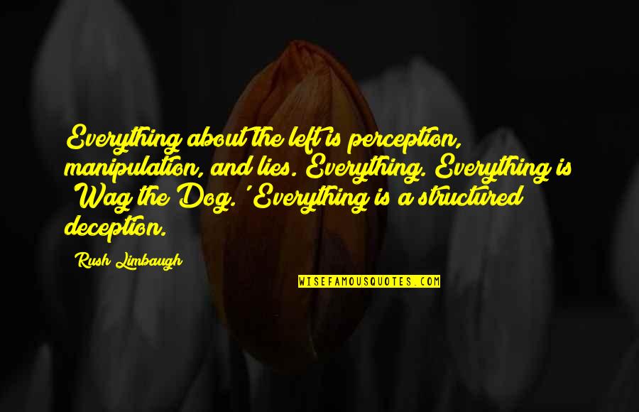 Manipulation And Deception Quotes By Rush Limbaugh: Everything about the left is perception, manipulation, and Manipulation And Deception Quotes By Rush Limbaugh: Everything about the left is perception, manipulation, and