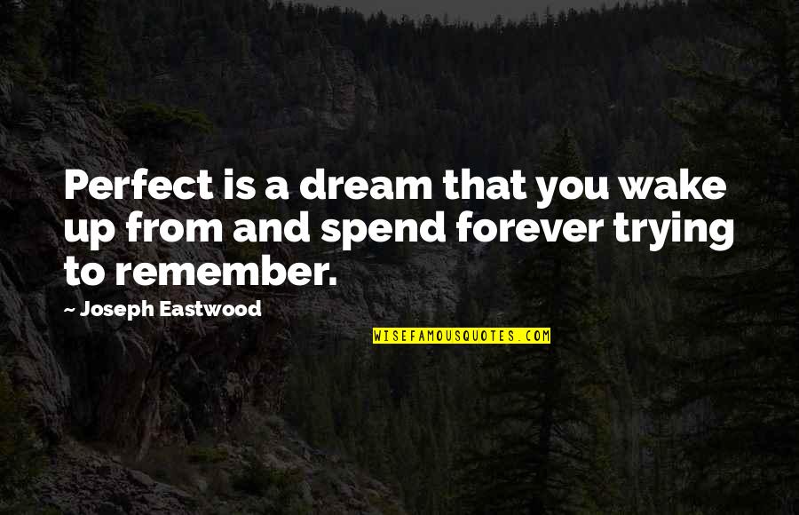 Manjit Minhas Quotes By Joseph Eastwood: Perfect is a dream that you wake up