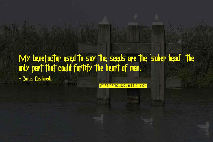 Manjrekar Jamess Birthplace Quotes By Carlos Castaneda: My benefactor used to say the seeds are