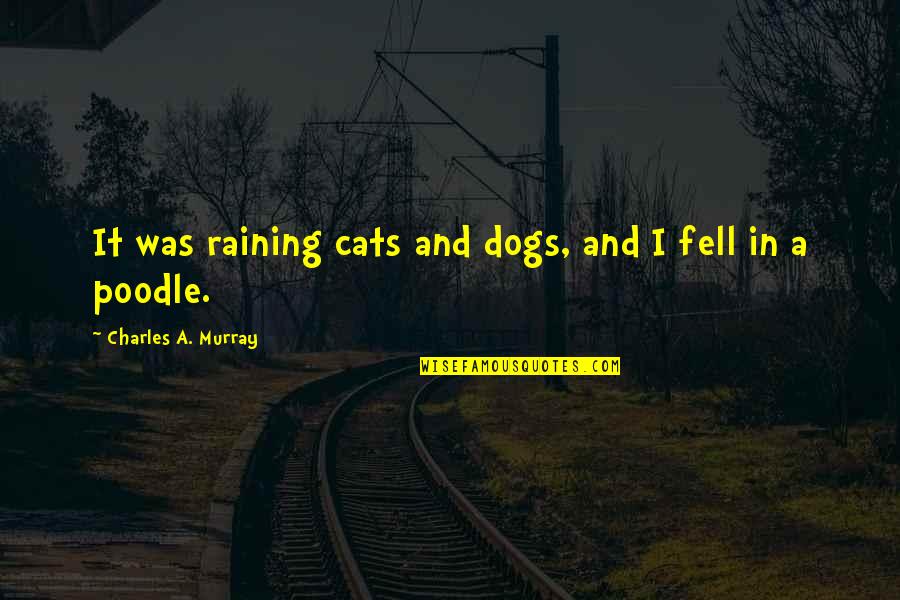 Mankell Wallander Quotes By Charles A. Murray: It was raining cats and dogs, and I Mankell Wallander Quotes By Charles A. Murray: It was raining cats and dogs, and I