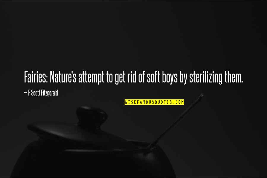 Mankinds Greatest Quotes By F Scott Fitzgerald: Fairies: Nature's attempt to get rid of soft