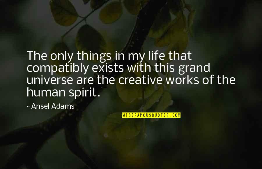 Manmeet Grewal Quotes By Ansel Adams: The only things in my life that compatibly Manmeet Grewal Quotes By Ansel Adams: The only things in my life that compatibly