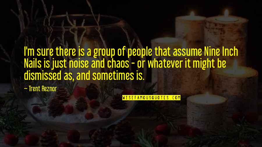 Mannat Quotes By Trent Reznor: I'm sure there is a group of people