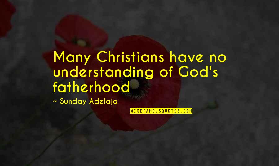 Mannella Quotes By Sunday Adelaja: Many Christians have no understanding of God's fatherhood