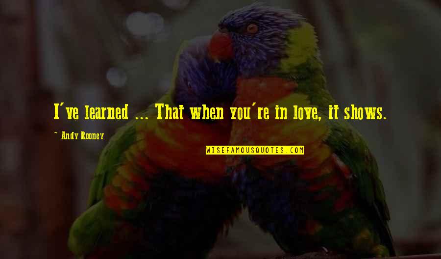 Mannerisms In Psychology Quotes By Andy Rooney: I've learned ... That when you're in love,