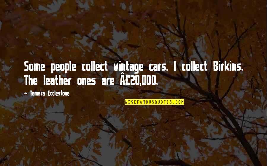 Manny Villar Quotes By Tamara Ecclestone: Some people collect vintage cars, I collect Birkins.