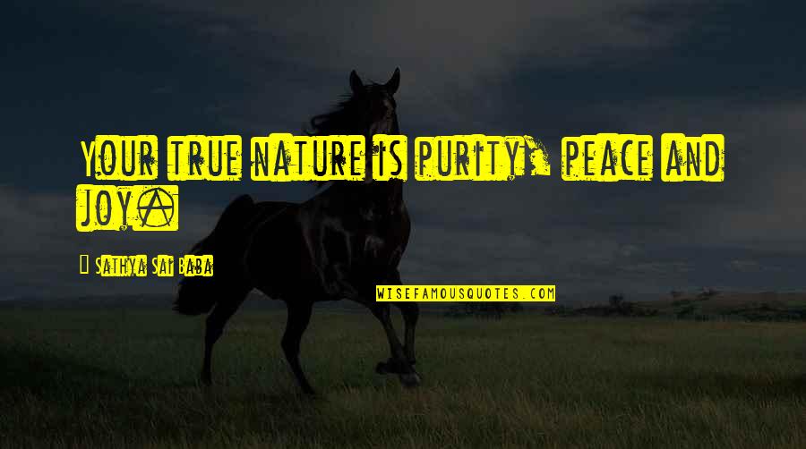 Manofsky Charles Quotes By Sathya Sai Baba: Your true nature is purity, peace and joy. Manofsky Charles Quotes By Sathya Sai Baba: Your true nature is purity, peace and joy.