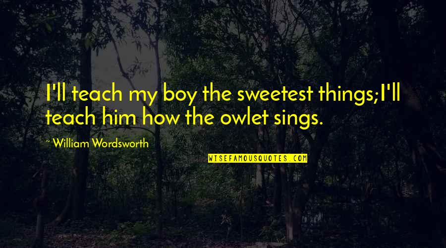 Manolesiai Quotes By William Wordsworth: I'll teach my boy the sweetest things;I'll teach