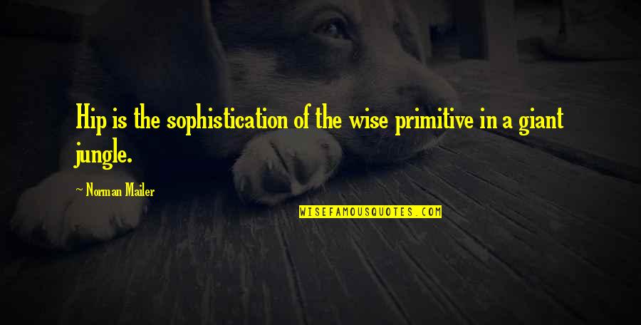 Manolopoulos Yannis Quotes By Norman Mailer: Hip is the sophistication of the wise primitive